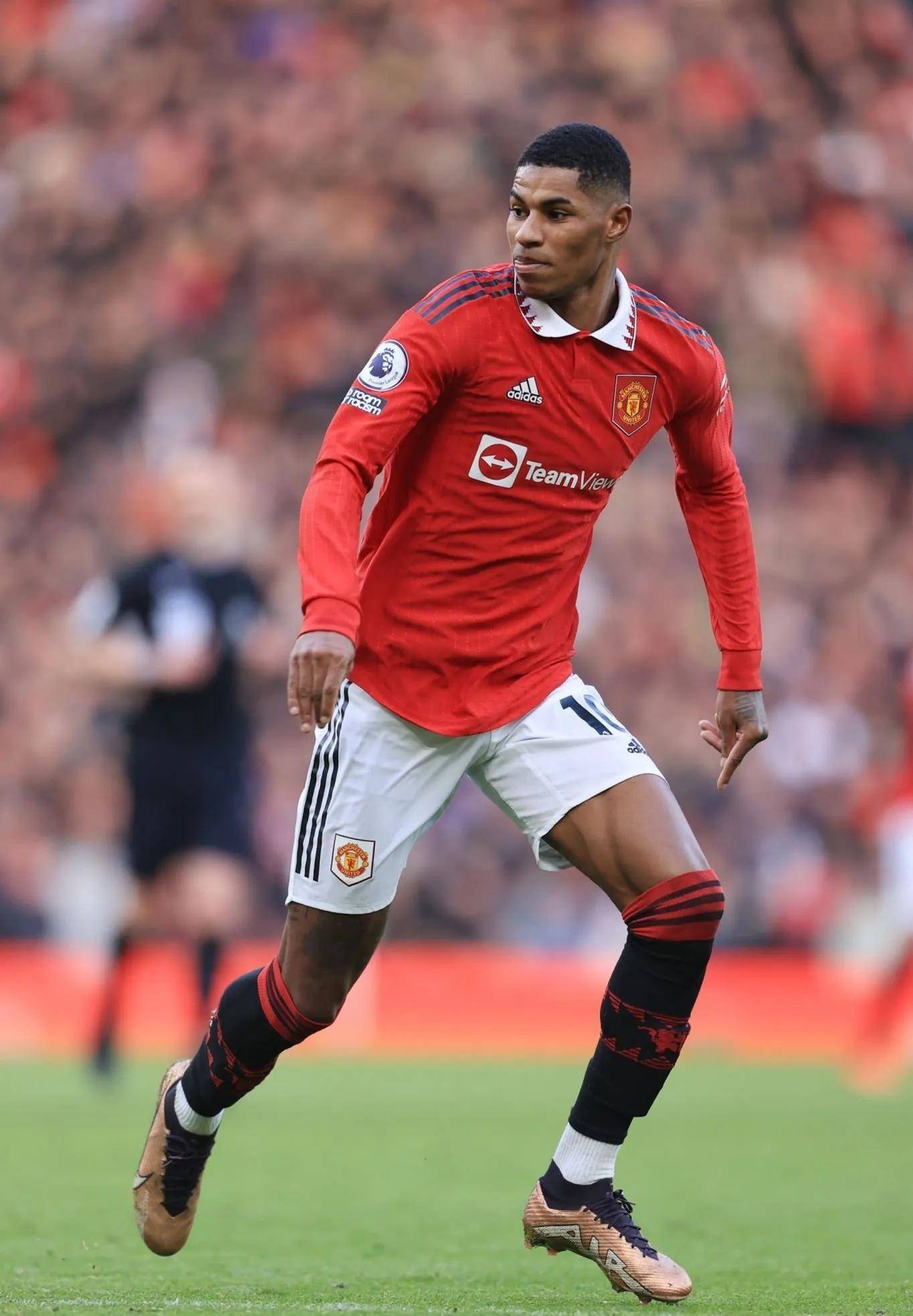 自然融入 自然融入